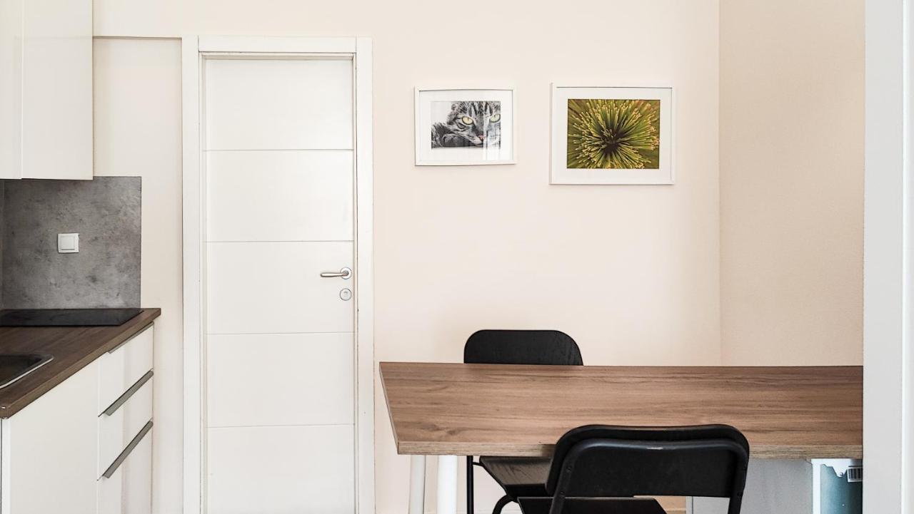 Filinhome Papa Studio 1 Novi Sad Exteriör bild